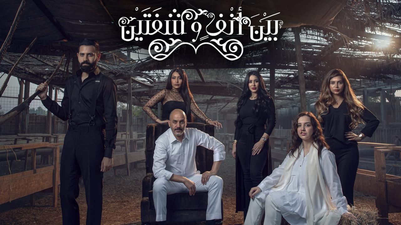 مسلسل بين أنف وشفتين الحلقة 4 الرابعة